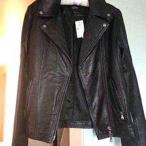 Jamie Asphalte Leather Biker Jacket